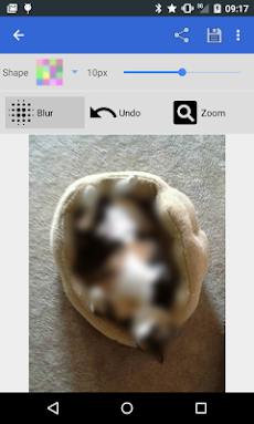 Pixelot：ぼかしアプリのおすすめ画像4