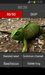 Guess the reptile poster 5