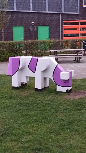 Purple and White Cow