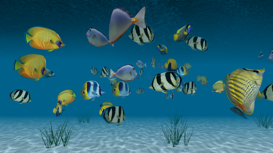 Ocean Tropical Trial 3D HD LWP