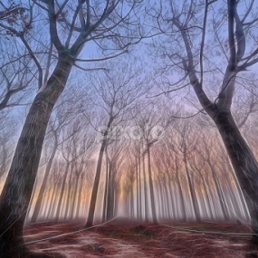 Fantasy Trees by Jim Merchant - City,  Street & Park City Parks