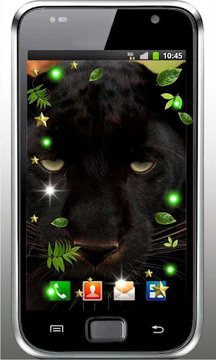 Panthera Free live wallpaper