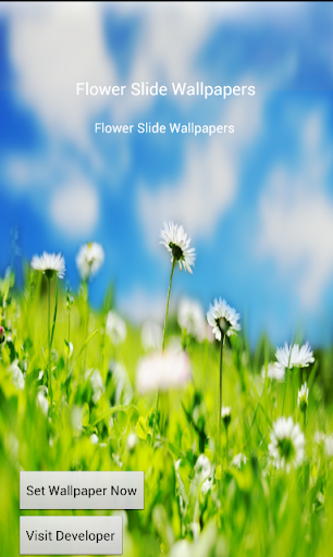 Flower Slide Wallpapers