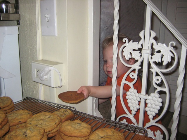 [DavidPhotos0013.jpg]