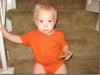 David Photos 002