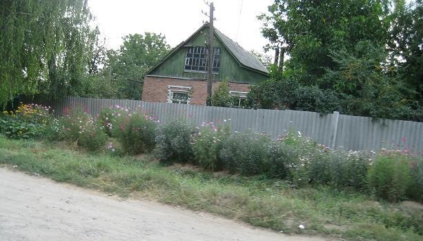 [cottagewithflowers.jpg]