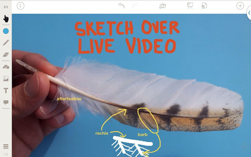 Stage: Whiteboard and Camera(圖2)-速報App