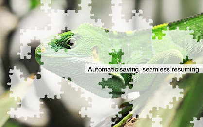 Lizard Jigsaw Puzzles Demo poster 12