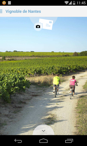 Le Vignoble de Nantes