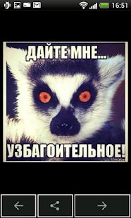 Узбагойся(圖3)-速報App