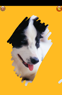 Color Animals 4 Doodle Scratch(圖6)-速報App