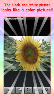 illusion : ColorfulMonotone(圖4)-速報App