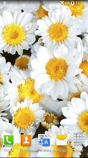 Flowers Live Wallpaper