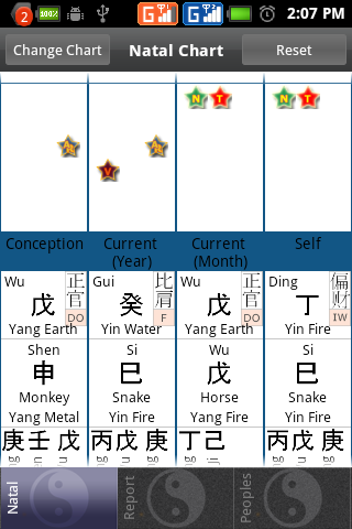 Bazi Pro (Chinese Astrology) Screen 2