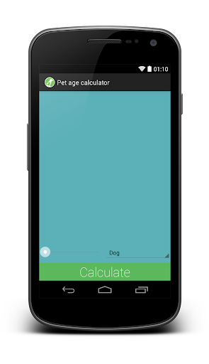 Pet Age Calculator