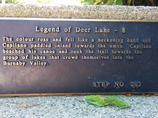 Legend Of Deer Lake - 8