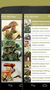 Pilzlexikon 2 PRO(圖4)-速報App