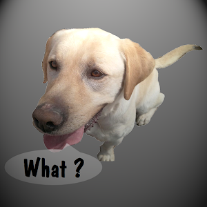 Talkidog Pro logo