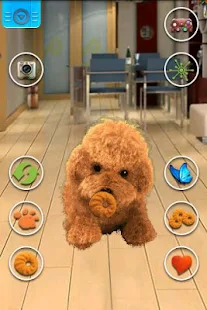Talking Teddy Dog(圖3)-速報App
