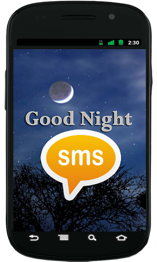 Good Night SMS