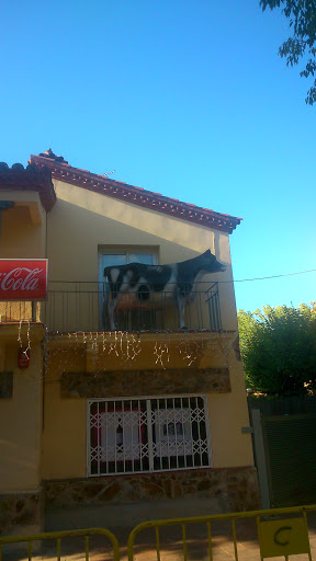 Una Vaca Al Balcó 