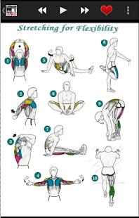 download Fitness Gym Quotes Cards free