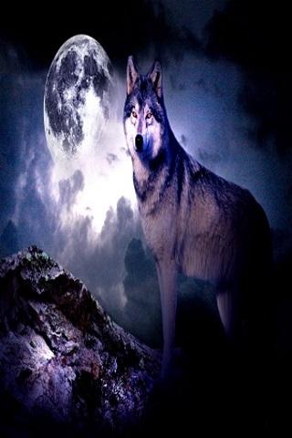 wolves wallpapers