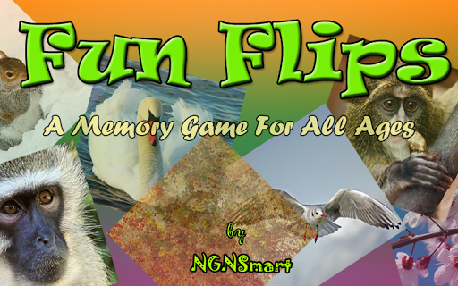 Fun Flips - The Memory Game