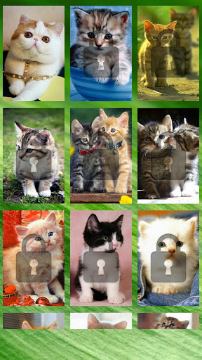 Cute Cat Swap Puzzle for Kids