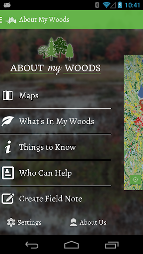 About My Woods