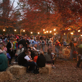 Great Pumpkin carve attendees  by Dianne Collins - Public Holidays Halloween