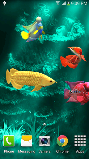 Arowana 3D Pro Live Wallpaper