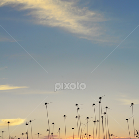 That afternoon by Erich Delapan - Landscapes Sunsets & Sunrises