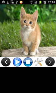 How to mod Cat Ringtones 1.0 mod apk for pc