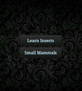 Learn Insects and Mammals(圖6)-速報App