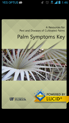 Palm Symptoms Key