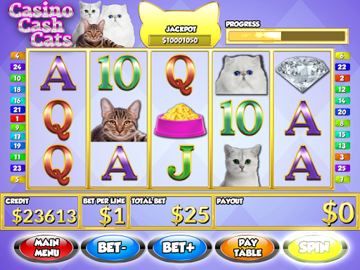 Casino Cash Cats - Slots PAID