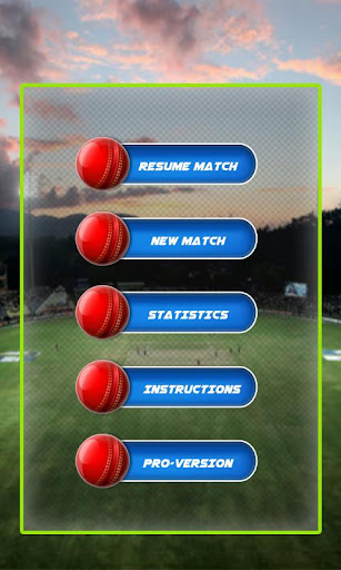 Cricket Scorecard 2015