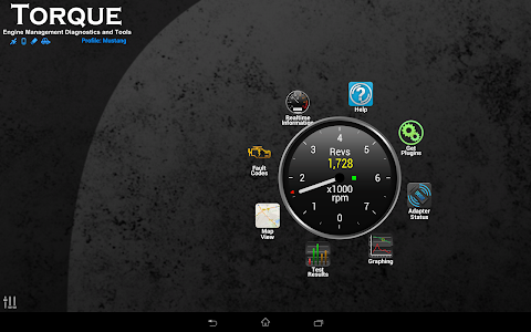 Screenshot Torque Pro (OBD 2 & Car) v1.8.46