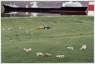 Madurodam: de Nieuwe Maas