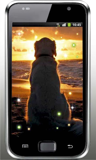 Dog Love Top live wallpaper