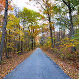Lonely Road by Al Koop -  