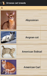 Domestic Cat Breeds poster 4