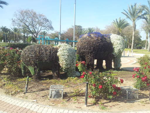 Elephant Garden 