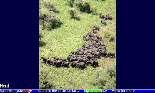 Free Download Lots of Animals 1 FREE APK