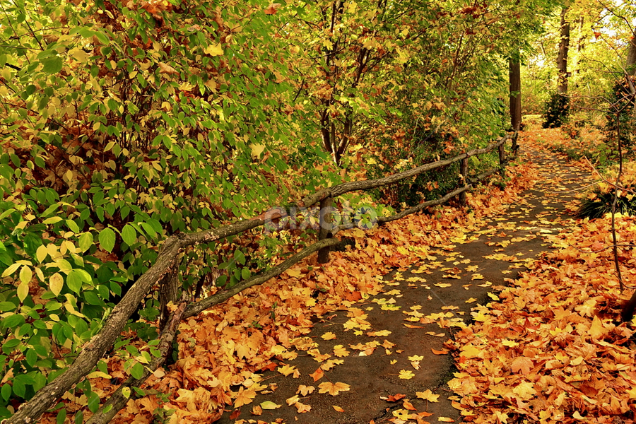 Pathway to Glory by Abhinav Ganorkar - City,  Street & Park City Parks