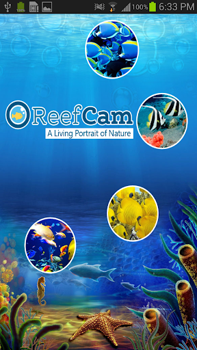 ReefCam