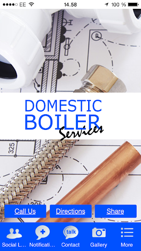 Domestic Boiler Services