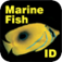 Fish ID Maldives mobile app icon