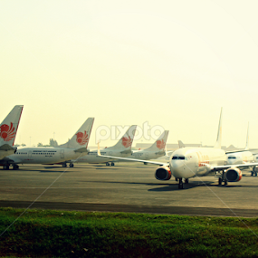 Red Lion Park by Daniel Pasaribu - Transportation Airplanes